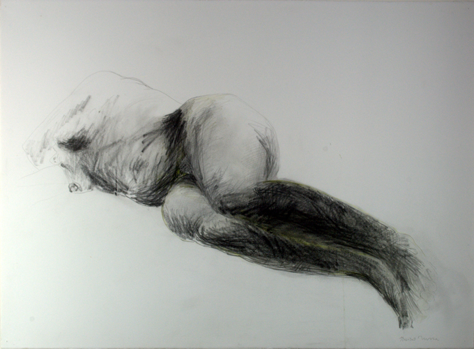 Disegno 190 (2009)