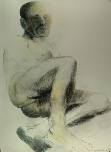 Disegno 195 (2009)